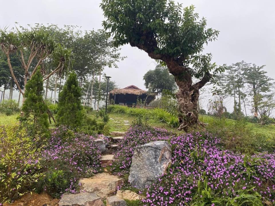 Ho Tam Homestay Hoa Binh Exterior photo